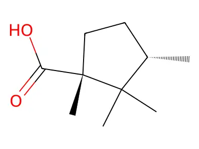 1,2,2,3-Tetramethylcyclopentane-1-carboxylic acid structure