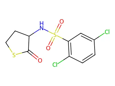 2,5-dichloro-N-(2-oxothiolan-3-yl)benzenesulfonamide structure