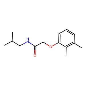2-(2,3-dimethylphenoxy)-N-(2-methylpropyl)acetamide structure