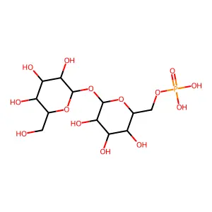 6-O-磷酸己吡喃糖基己吡喃糖苷 structure