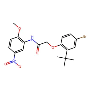 2-(4-bromo-2-tert-butylphenoxy)-N-(2-methoxy-5-nitrophenyl)acetamide structure