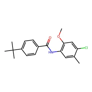4-tert-butyl-N-(4-chloro-2-methoxy-5-methylphenyl)benzamide structure
