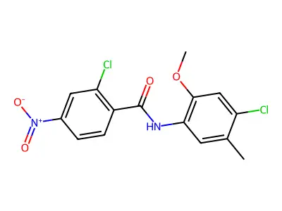2-chloro-N-(4-chloro-2-methoxy-5-methylphenyl)-4-nitrobenzamide structure
