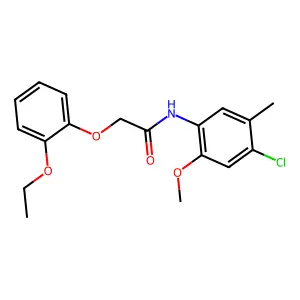 N-(4-chloro-2-methoxy-5-methylphenyl)-2-(2-ethoxyphenoxy)acetamide structure