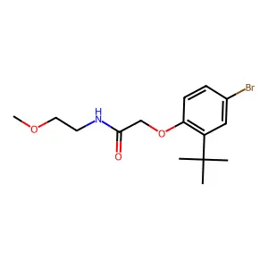 2-(4-bromo-2-tert-butylphenoxy)-N-(2-methoxyethyl)acetamide structure
