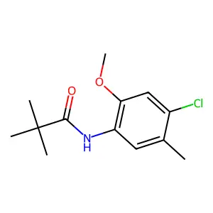 N-(4-chloro-2-methoxy-5-methylphenyl)-2,2-dimethylpropanamide structure