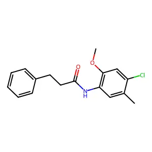 N-(4-chloro-2-methoxy-5-methylphenyl)-3-phenylpropanamide structure