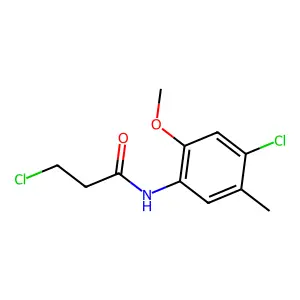 3-chloro-N-(4-chloro-2-methoxy-5-methylphenyl)propanamide structure