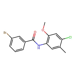 3-bromo-N-(4-chloro-2-methoxy-5-methylphenyl)benzamide structure