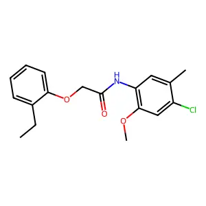 N-(4-chloro-2-methoxy-5-methylphenyl)-2-(2-ethylphenoxy)acetamide structure
