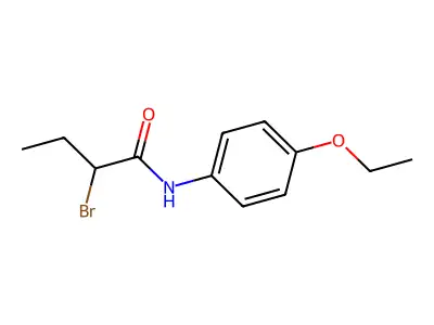2-bromo-N-(4-ethoxyphenyl)butanamide structure