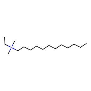 Dodecyldimethylethylammonium structure