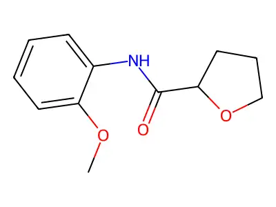 N-(2-methoxyphenyl)oxolane-2-carboxamide structure