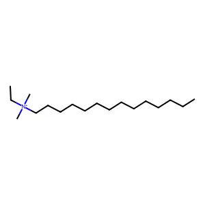 Tetradecyldimethylethylammonium structure