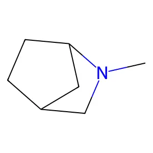 2-Azabicyclo[2.2.1]heptane, 2-methyl- structure