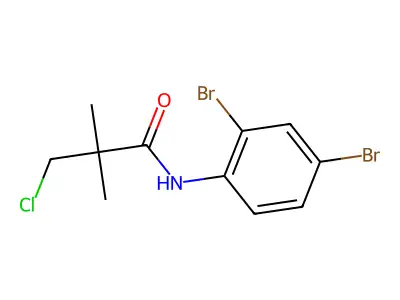 3-chloro-N-(2,4-dibromophenyl)-2,2-dimethylpropanamide structure