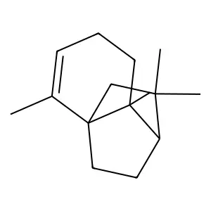 Neoclovene structure