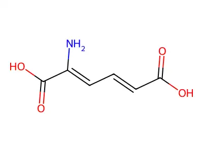 2-氨基-2,4-己二烯二酸 structure