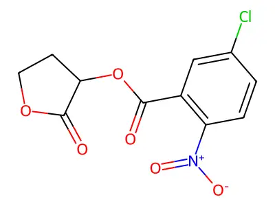 (2-Oxooxolan-3-yl) 5-chloro-2-nitrobenzoate structure