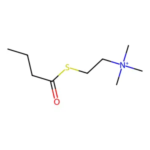 Butyrylthiocholine structure
