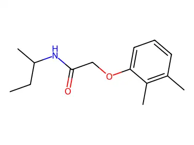 N-(butan-2-yl)-2-(2,3-dimethylphenoxy)acetamide structure
