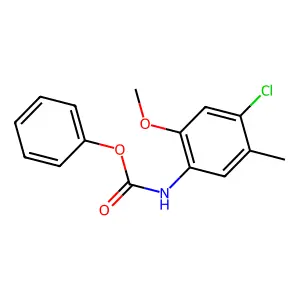 phenyl N-(4-chloro-2-methoxy-5-methylphenyl)carbamate structure
