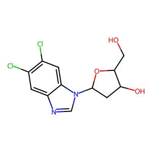 J1.302.906G structure