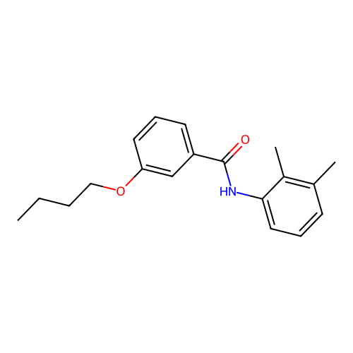 3-butoxy-N-(2,3-dimethylphenyl)benzamide structure