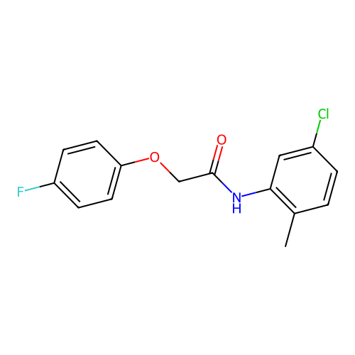 N-(5-chloro-2-methylphenyl)-2-(4-fluorophenoxy)acetamide structure