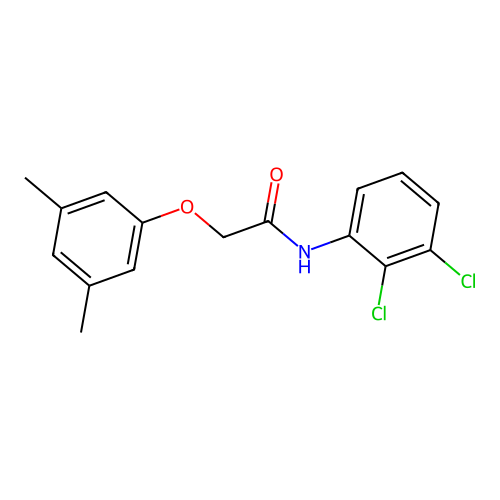 N-(2,3-dichlorophenyl)-2-(3,5-dimethylphenoxy)acetamide structure