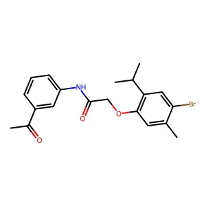 N-(3-acetylphenyl)-2-(4-bromo-2-isopropyl-5-methylphenoxy)acetamide structure