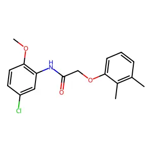 N-(5-chloro-2-methoxyphenyl)-2-(2,3-dimethylphenoxy)acetamide structure