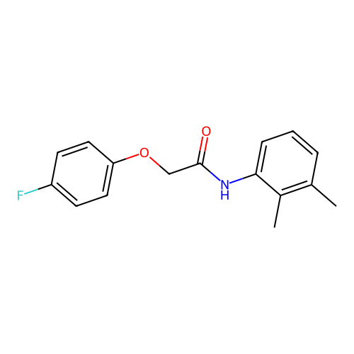 N-(2,3-dimethylphenyl)-2-(4-fluorophenoxy)acetamide structure