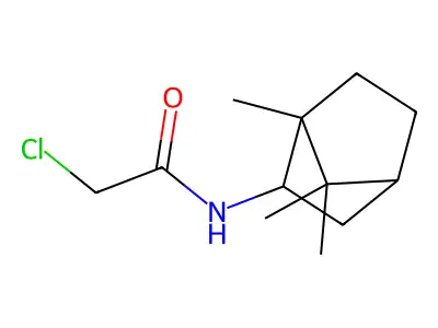 2-chloro-N-(1,7,7-trimethylbicyclo[2.2.1]hept-2-yl)acetamide structure