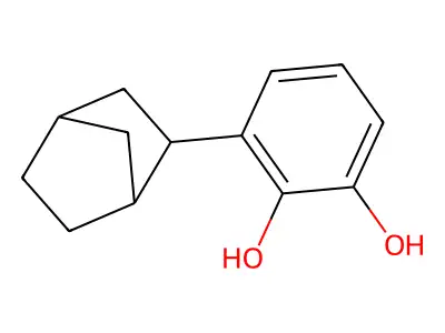 3-Bicyclo(2.2.1)hept-2-yl-benzene-1,2-diol structure