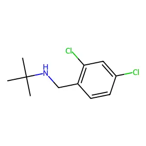 N-(tert-butyl)-N-(2,4-dichlorobenzyl)amine structure