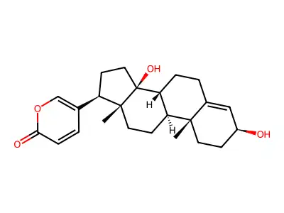 Scillarenine structure