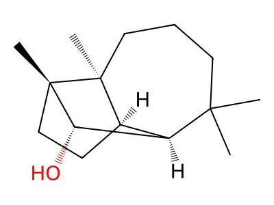 Decahydro-1,5,5,8a-tetramethyl-1,4-methanoazulen-9-ol structure