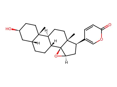 Bufogein structure