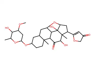 Leptoside structure