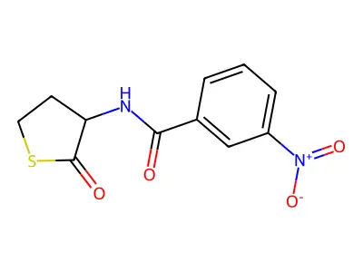 3-nitro-N-(2-oxothiolan-3-yl)benzamide structure