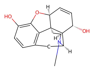 gamma-Isomorphine structure