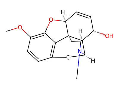 Pseudocodeine structure