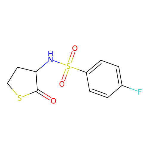 4-fluoro-N-(2-oxothiolan-3-yl)benzenesulfonamide structure