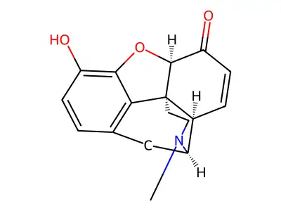吗啡酮 structure