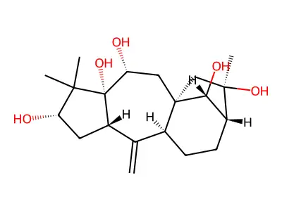 Grayanotox-10-ene-3beta,5,6beta,14,16-pentol structure