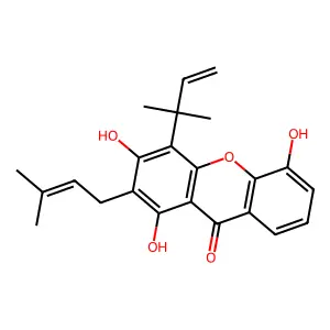 Allanxanthone A structure