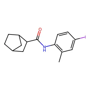 N-(4-Iodo-2-methylphenyl)bicyclo[2.2.1]heptane-2-carboxamide structure