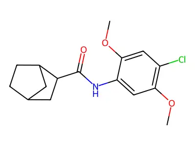 N-(4-chloro-2,5-dimethoxyphenyl)bicyclo[2.2.1]heptane-2-carboxamide structure