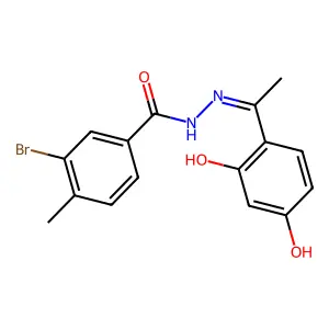3-bromo-N'-[(1E)-1-(2,4-dihydroxyphenyl)ethylidene]-4-methylbenzohydrazide structure